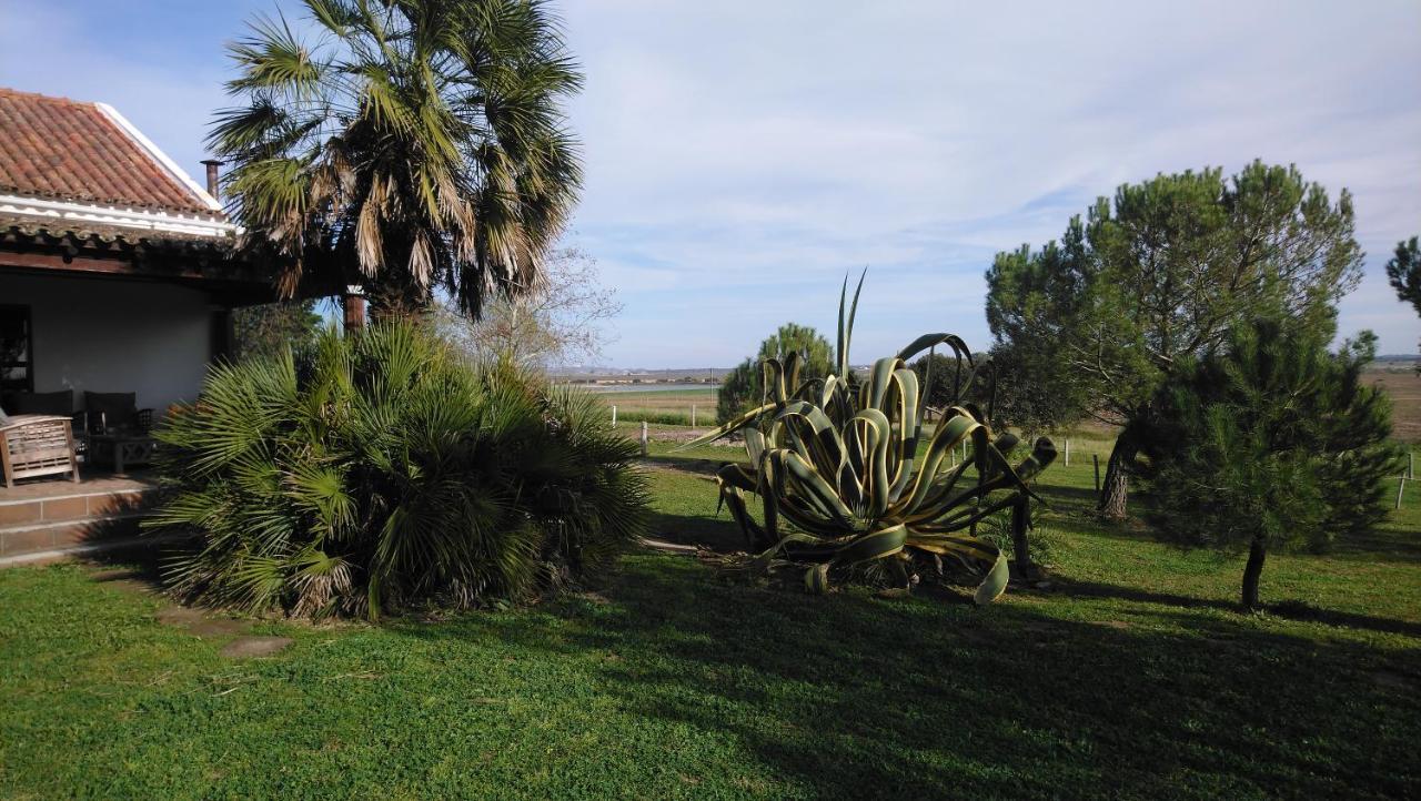 Lodge Monte Do Sobral Alcacovas ภายนอก รูปภาพ