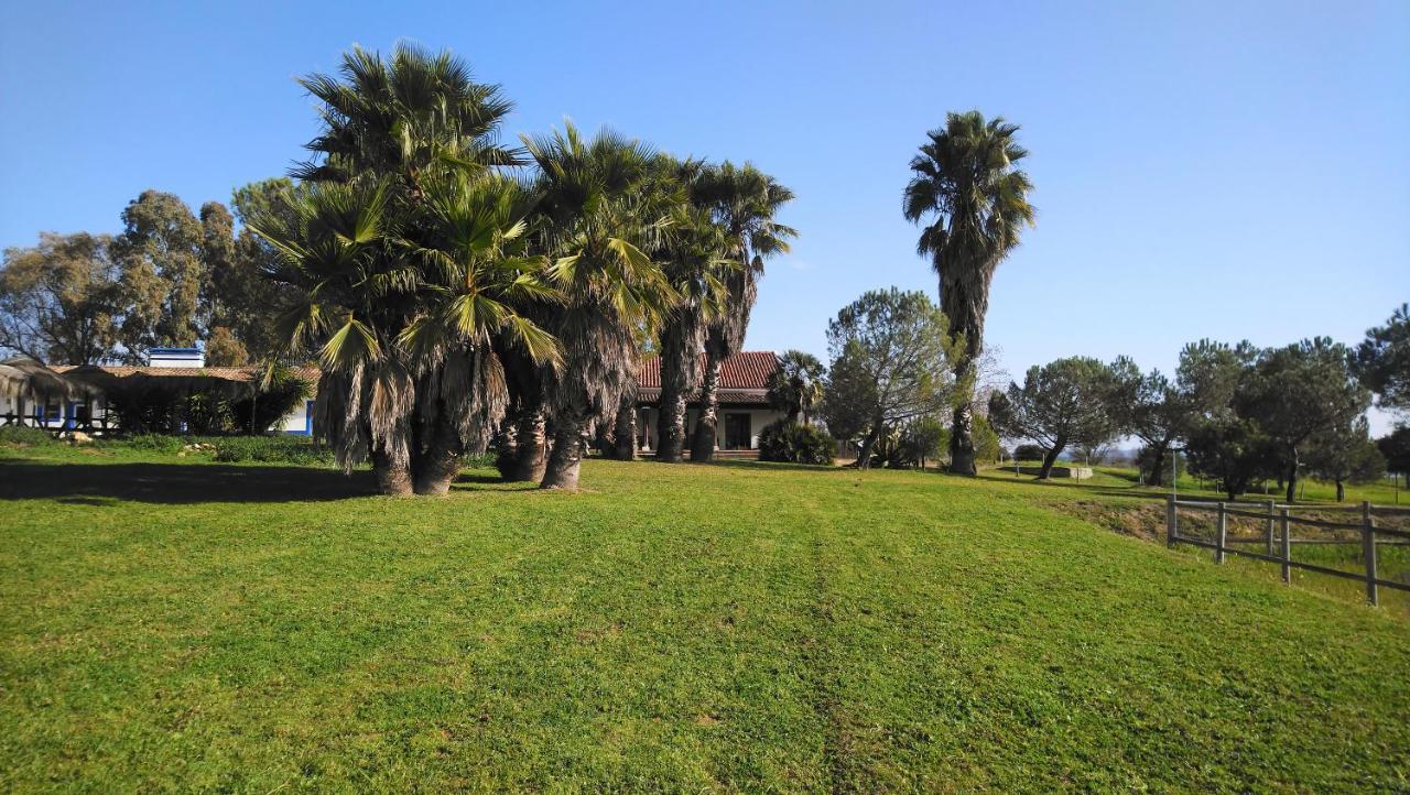 Lodge Monte Do Sobral Alcacovas ภายนอก รูปภาพ