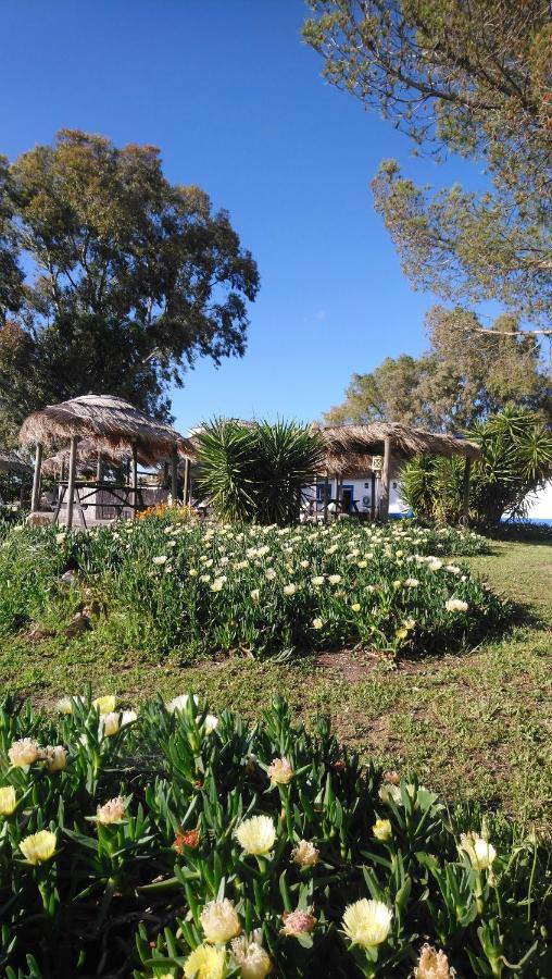 Lodge Monte Do Sobral Alcacovas ภายนอก รูปภาพ