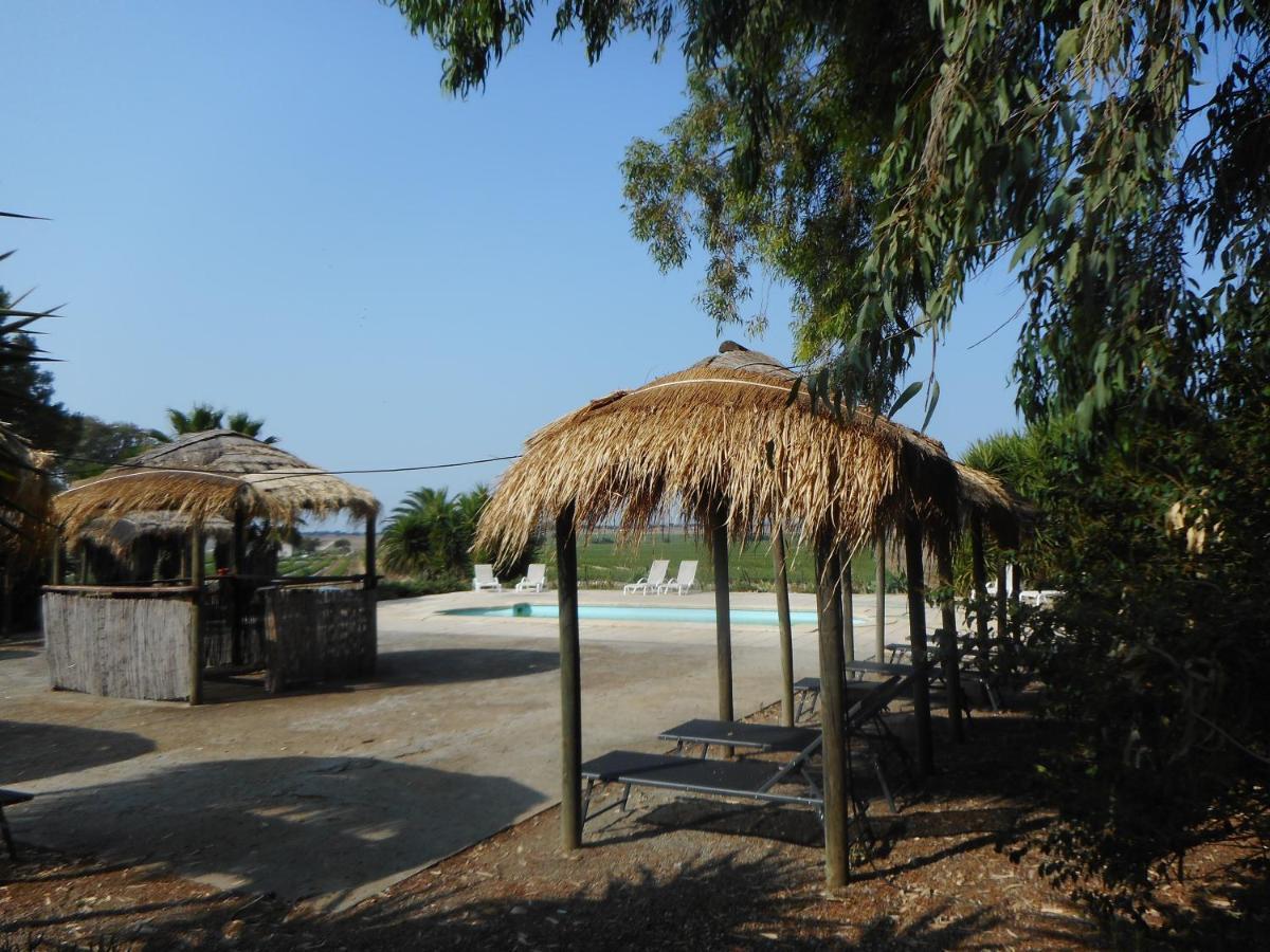 Lodge Monte Do Sobral Alcacovas ภายนอก รูปภาพ
